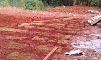 Imagem 2: Vendo lote no alagado em Três Barras do Paraná