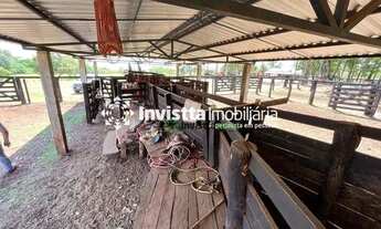 Imagem 3: Fazenda localizada em uma das regiões com maior altitude do estado-Área total: 1.190 Hecta