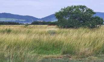 Imagem 4: Terreno 585m² na Ilha do Boi Região dos Lagos RJ- Ótimo Preço!