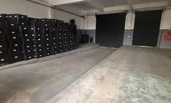 Imagem 5: Galpão com Câmera Fria na Vila Leopoldina - São Paulo - SP