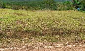 Imagem 2: Vendo terreno lote em Salgado