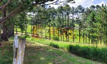 Imagem 2: Terreno à venda, 1000 m² por R$ 205.300,00 - Pavão (Canguera) - São Roque/SP