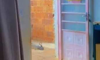 Imagem 5: Vendo casa E em Araçatuba