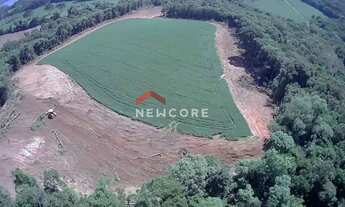 Imagem 4: Sítio em Área Rural - Área Rural de Araucária - Araucária/PR