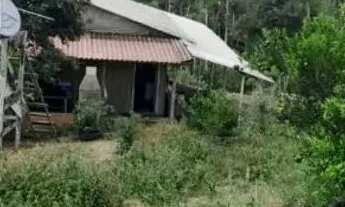 Imagem 4: Chácara Chácara com venda por R$130.000