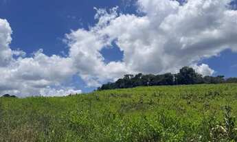 Imagem 3: Nvista antes da valorização no Bairro do Colégio Ibiúna