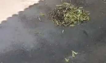 Imagem: Casa Bairro Cristo Venda