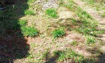 Imagem 5: Terreno vendo ou troco por veículos utilitários