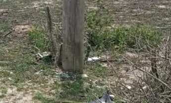 Imagem 2: Venda de terreno