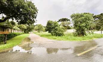 Imagem 4: Excelente terreno de esquina, plano, seco, 15x40, 600m2, a uma quadra da Rua Herbert Trapp