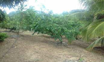 Imagem 6: Sitio no Povoado de Olhos D'agua de Cima em Jacobina ba