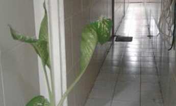 Imagem 4: Alugo Kitnets de bom tamanho