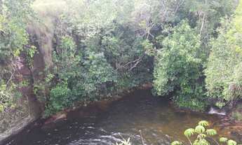 Imagem 4: Fazenda em Ponte Alta. 35 mil o alqueire. Total 1300 alqueires