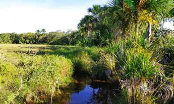 Imagem 2: Fazenda em Ponte Alta. 35 mil o alqueire. Total 1300 alqueires