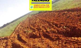 Imagem: Fazenda Aparecida do Rio Negro