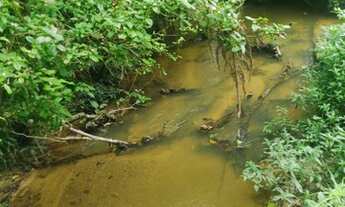 Imagem 7: Super oportunidade chácara 130 mil reais