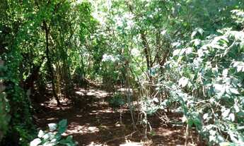 Imagem 6: Venda - Terreno - Vila Cordenonsi - Americana - SP