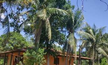 Imagem 2: Fazenda Fazenda / sítio com venda por R$485.000