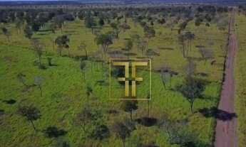 Imagem 7: Fazenda 4926 Alqueires, Santíssima Trindade, MT