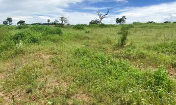 Imagem 5: Linda chácara com vista para o lago (2.500m2