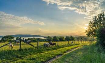Imagem: DI Fazenda/Sítio/Chácara em Vacaria