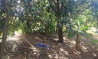 Imagem 3: Chácara 2500 mts com casa 03 quartos e lagoa nos fundos