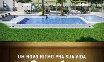 Imagem 5: Lançamento VINHEDOS