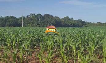 Imagem 7: Fazenda para Venda, Região produtora consolidada