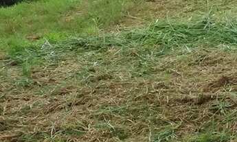 Imagem 3: Terreno para Venda em Sorocaba, Jardim Pagliato