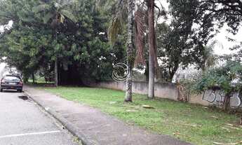 Imagem 6: FLORIANóPOLIS - Terreno Padrão - Centro