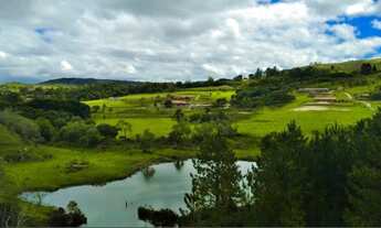Imagem: Terrenos excelentes para chácaras e sítios