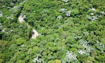 Imagem 7: Lote/Terreno GENESIS II - 490m2 - Plano - Alphaville - Stna. de Parnaíba - SP
