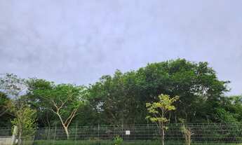 Imagem 6: Terreno Maravilhoso - Damha II