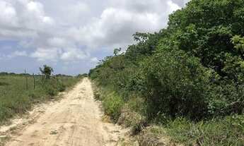 Imagem 5: Vendo terreno 1000m2 em Cabeceiras, Tibau do Sul. Aceito parcelamento