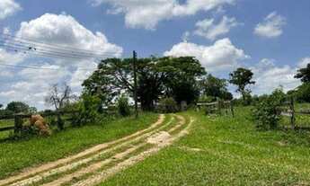 Imagem 3: Sítio com 8 dormitórios à venda, 145200 m² por R$ 4.000.000,00 - Gramadinho - Porto Feliz