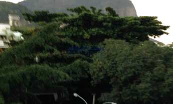 Imagem 2: Jardim Oceânico