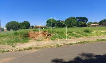 Imagem 2: Terreno Área em Marília