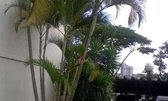 Imagem 4: Apartamento com 2 dormitórios à venda, 50 m² por R$ 191.500 - Conjunto Residencial José Bo