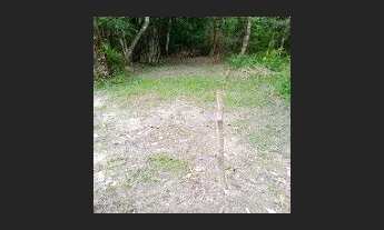 Imagem: Vende se um terreno em Mosqueiro