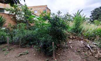 Imagem 4: Terreno em Santa Paula