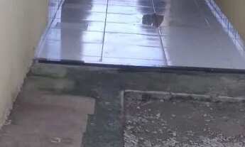 Imagem 6: Casa p alugar no gererau itaitinga