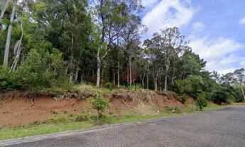 Imagem 5: Terreno no Loteamento Terras Altas em Gramado!