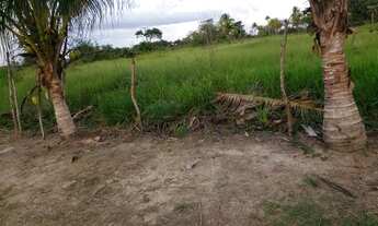Imagem 3: Fazenda em São Sebastião do Passé