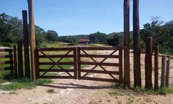 Imagem 2: Fazenda 10 Alqueires Prontinha para Uso