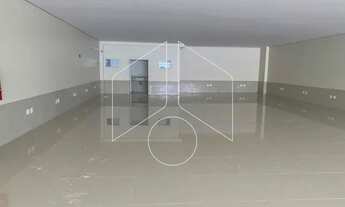 Imagem 7: Comercial Galpão/Barracão em Marília