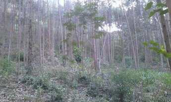 Imagem 6: Propriedade rural com Cachoeira e Eucalipto