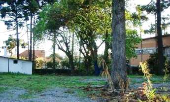 Imagem 6: Terreno no Centro de Canela!