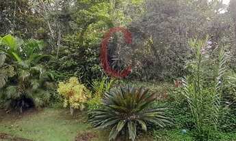 Imagem 2: Terreno Ponta das Toninhas- Toninhas - Ubatuba/SP