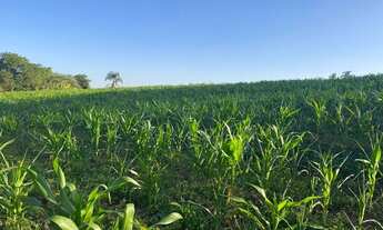 Imagem 2: Terrenos com Vista Excelente localizado próximo da rodovia em Ibiúna SP