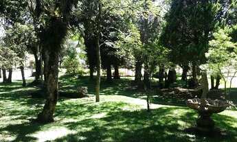 Imagem 7: Casa no bairro São Bernardo em São Francisco de Paula!